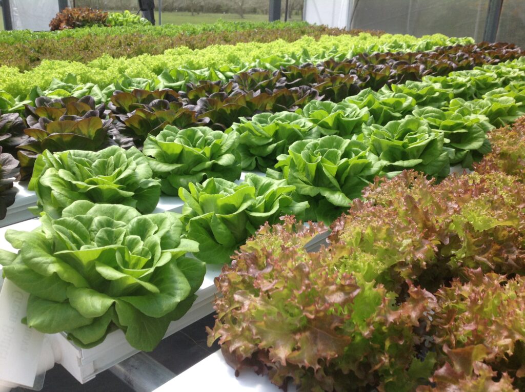 Agri of Virginia, Inc. – Your Farm and greenhouse supply company